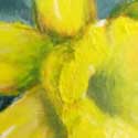 daffocil thumbnail
